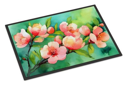 NEW Delaware Peach Blossom in Watercolor Doormat Front Door Mat Indoor Outdoor Rugs for Entryway, Non Slip Washable Low Pile, 18H X 27W