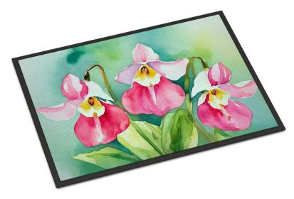 NEW Minnesota Pink and White Lady s Slippers in Watercolor Doormat Front Door Mat Indoor Outdoor Rugs for Entryway, Non Slip Washable Low Pile