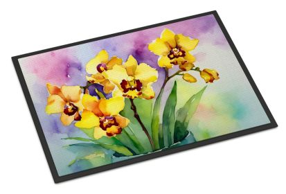 Orchids in Watercolor Doormat Front Door Mat Indoor Outdoor Rugs for Entryway, Non Slip Washable Low Pile, 24H X 36W